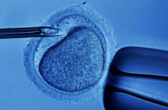 As diferenças entre fertilização in vitro e inseminação artificial