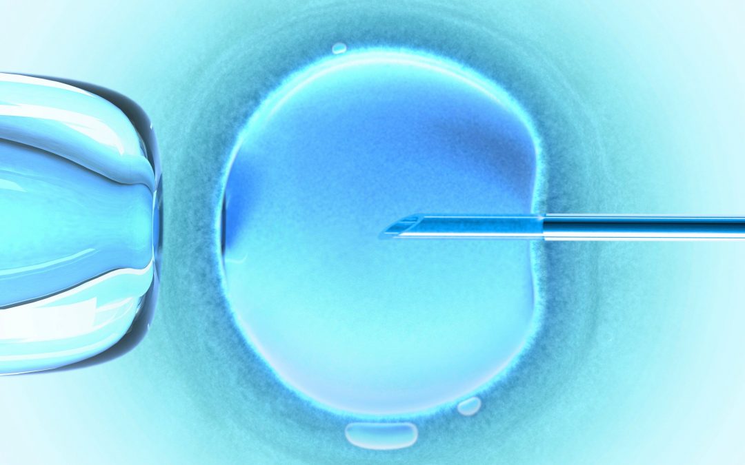 Principal preocupação com fertilização in vitro é o custo, aponta estudo