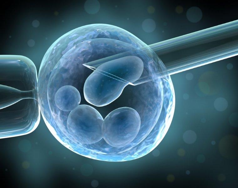 A diferença entre fertilização in vitro e inseminação artificial