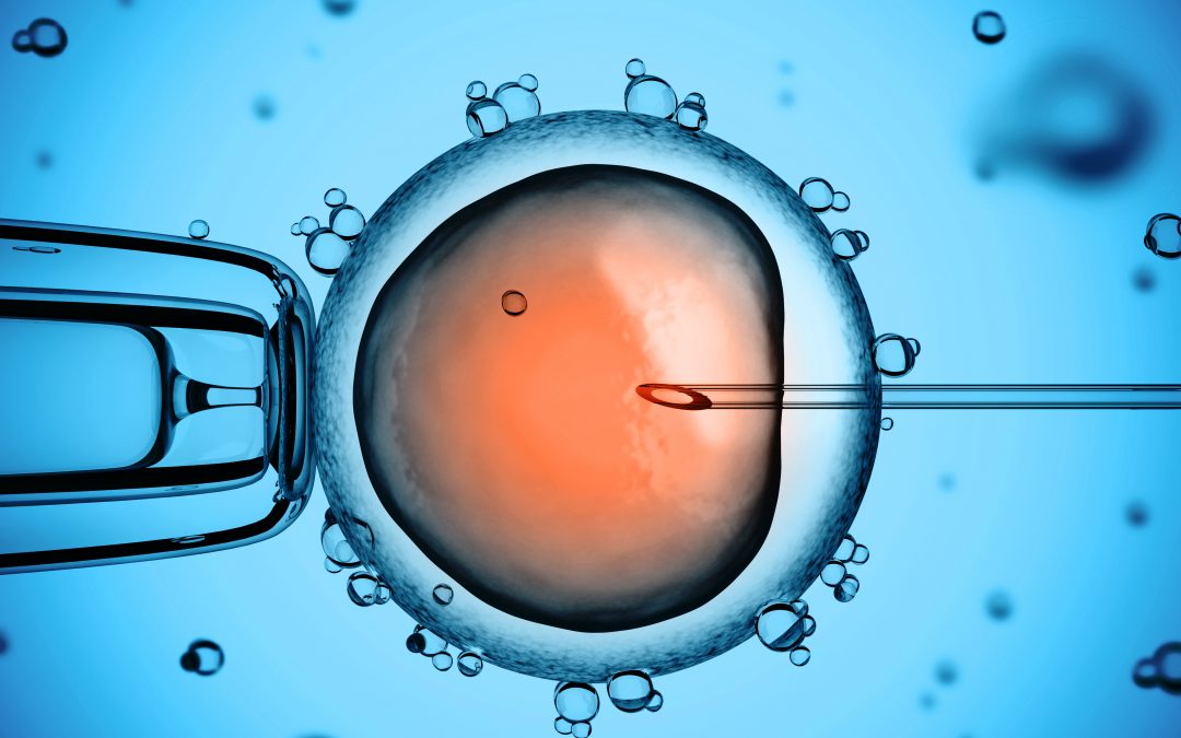 Fertilização in vitro: alternativa para engravidar