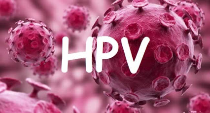 Sêmen com HPV pode interferir na fertilidade