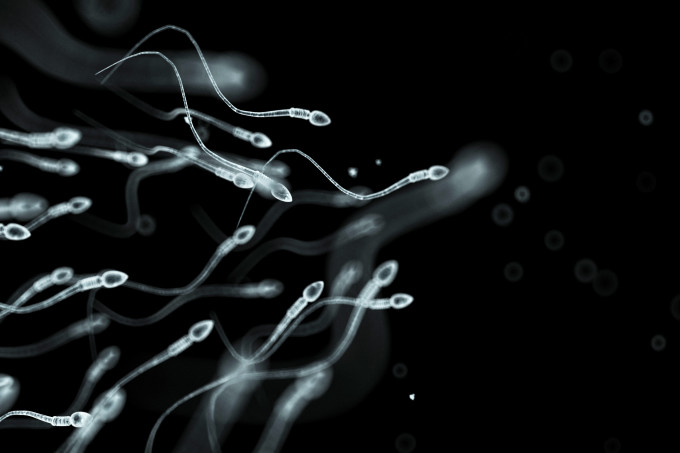 Saiba quais são os riscos de fazer uma inseminação artificial caseira