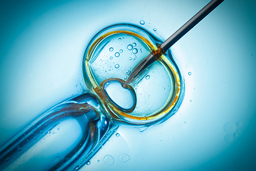 Fertilização in Vitro: As 4 dúvidas mais comuns sobre o procedimento