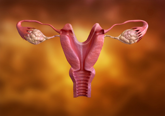 O século da genética: a evolução no tratamento da Falência Ovariana precoce