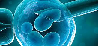 Você sabe quais são as diferenças entre a inseminação artificial e fertilização in vitro?