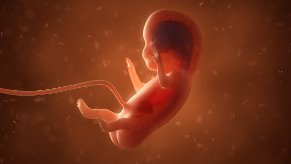 O que é o aborto retido e quais são as suas causas?