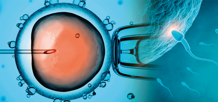 Você sabe a diferença entre inseminação intrauterina e a fertilização in vitro?